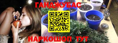 Альфа ПВП Заволжье