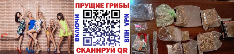 где купить   Минеральные Воды  Галлюциногенные грибы Psilocybe 