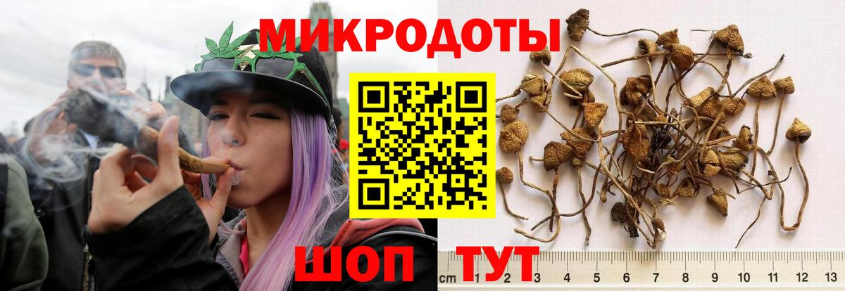 Галлюциногенные грибы GOLDEN TEACHER Минеральные Воды