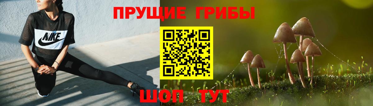 Минеральные Воды  Галлюциногенные грибы ЛСД  Вход с VPN 